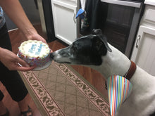 Load image into Gallery viewer, Fetch & Go! Cakes