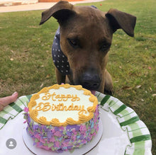 Load image into Gallery viewer, Fetch & Go! Cakes